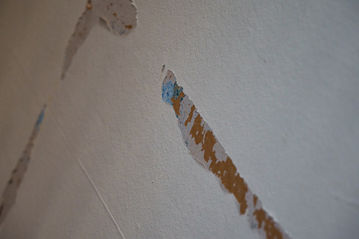 Water Extraction service in Santa Ana, CA